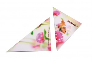 foto-vlinderbloemen-2